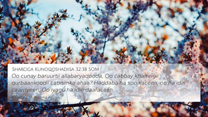 Sharciga Kunoqoshadiisa 32:38 SOM Bible Verse Image