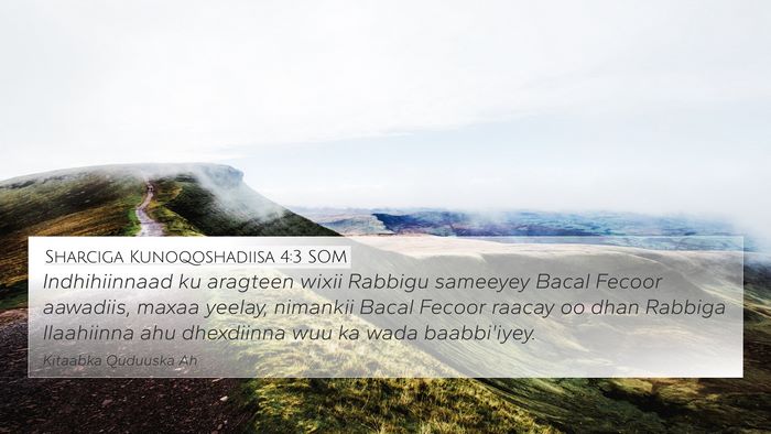 Sharciga Kunoqoshadiisa 4:3 SOM Bible Verse Image