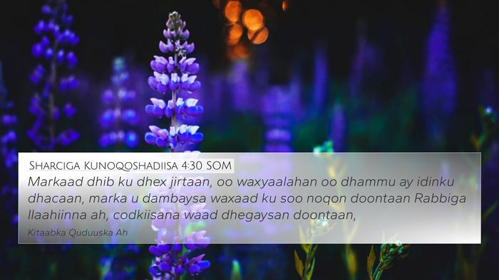 Sharciga Kunoqoshadiisa 4:30 SOM Bible Verse Image