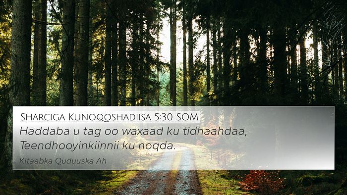 Sharciga Kunoqoshadiisa 5:30 SOM 4K Wallpaper - Haddaba u tag oo waxaad ku tidhaahdaa, - 4K Wallpaper Bible Verse