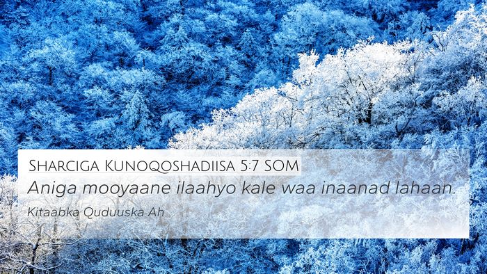 Sharciga Kunoqoshadiisa 5:7 SOM Bible Verse Image
