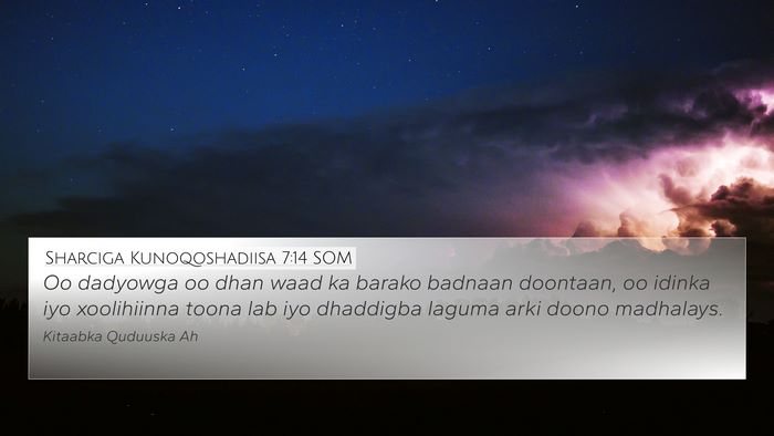 Sharciga Kunoqoshadiisa 7:14 SOM 4K Wallpaper - Oo dadyowga oo dhan waad ka barako badnaan - 4K Wallpaper Bible Verse