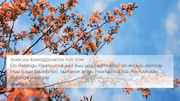 Sharciga Kunoqoshadiisa 9:20 SOM 4K Wallpaper - Oo Rabbigu Haaruunna aad buu ugu cadhooday, oo - 4K Wallpaper Bible Verse