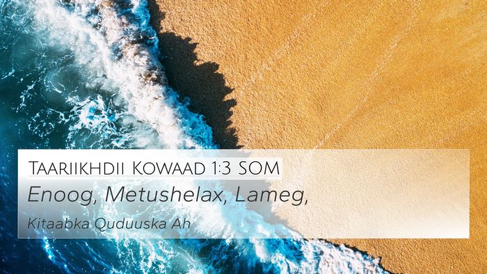 Taariikhdii Kowaad 1:3 SOM Bible Verse Image