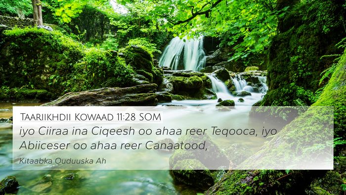 Taariikhdii Kowaad 11:28 SOM Bible Verse Image