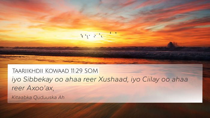 Taariikhdii Kowaad 11:29 SOM Bible Verse Image