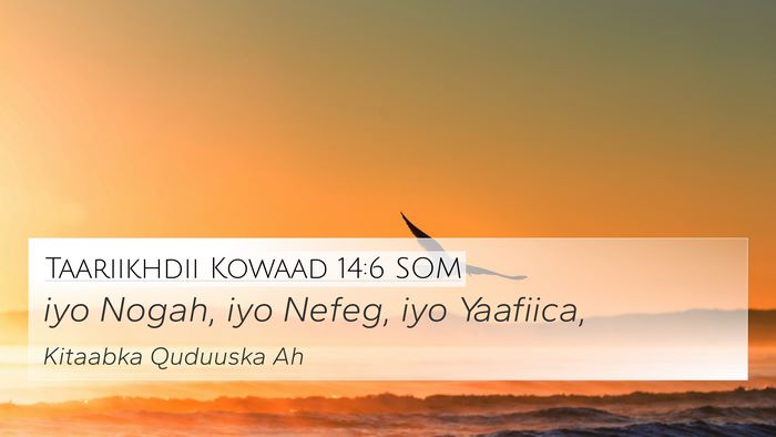 Taariikhdii Kowaad 14:6 SOM 4K Wallpaper - iyo Nogah, iyo Nefeg, iyo - 4K Wallpaper Bible Verse