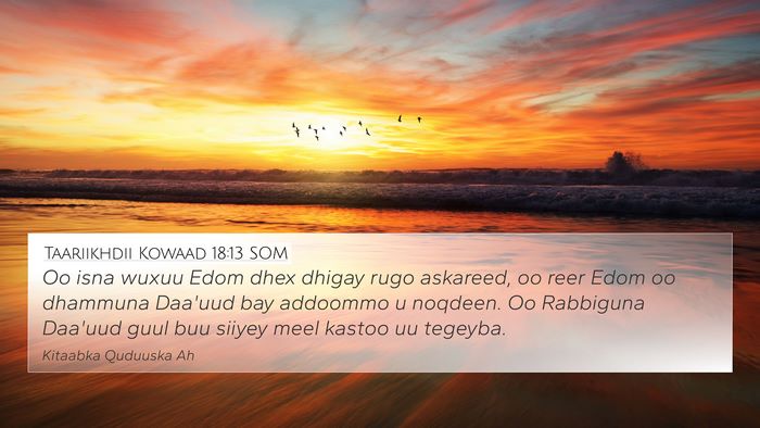 Taariikhdii Kowaad 18:13 SOM Bible Verse Image