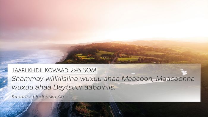 Taariikhdii Kowaad 2:45 SOM Bible Verse Image