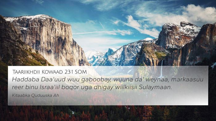 Taariikhdii Kowaad 23:1 SOM Bible Verse Image