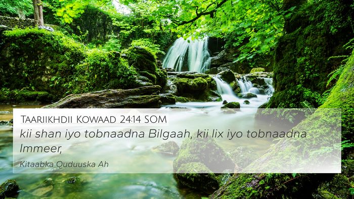 Taariikhdii Kowaad 24:14 SOM Bible Verse Image