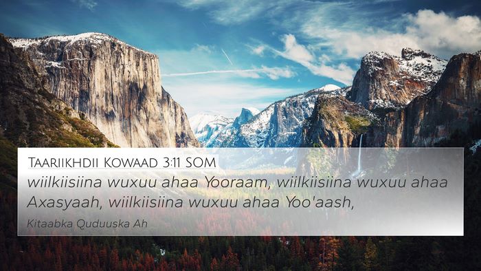 Taariikhdii Kowaad 3:11 SOM 4K Wallpaper - wiilkiisiina wuxuu ahaa Yooraam, wiilkiisiina - 4K Wallpaper Bible Verse