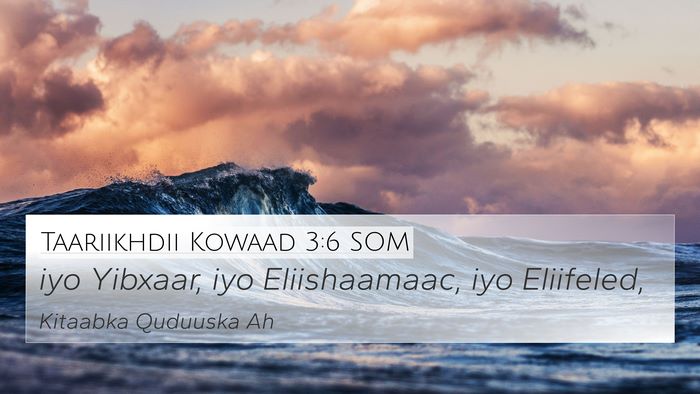 Taariikhdii Kowaad 3:6 SOM Bible Verse Image