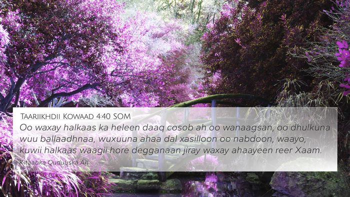 Taariikhdii Kowaad 4:40 SOM 4K Wallpaper - Oo waxay halkaas ka heleen daaq cosob ah oo - 4K Wallpaper Bible Verse