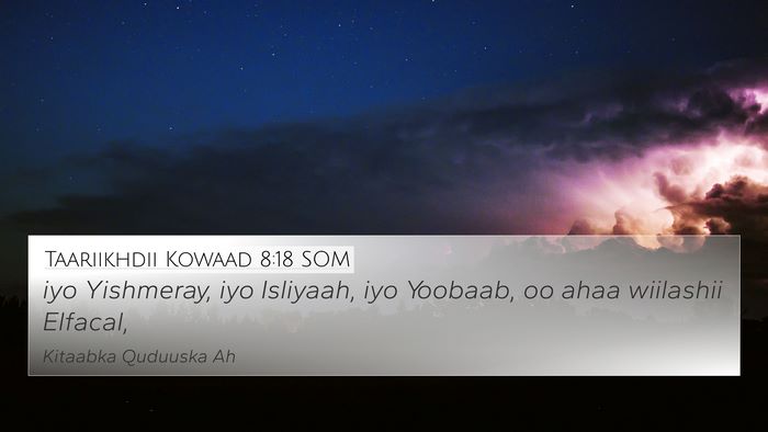 Taariikhdii Kowaad 8:18 SOM Bible Verse Image