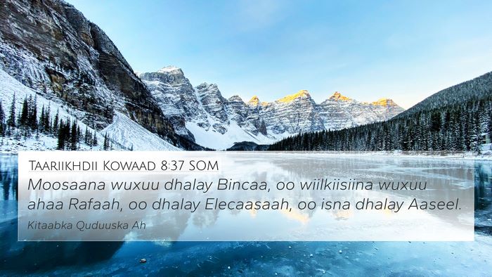 Taariikhdii Kowaad 8:37 SOM 4K Wallpaper - Moosaana wuxuu dhalay Bincaa, oo wiilkiisiina - 4K Wallpaper Bible Verse