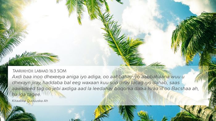 Taariikhdii Labaad 16:3 SOM Bible Verse Image