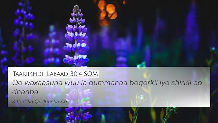 Taariikhdii Labaad 30:4 SOM Bible Verse Image