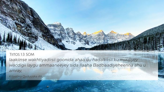 Tiitos 1:3 SOM Bible Verse Image