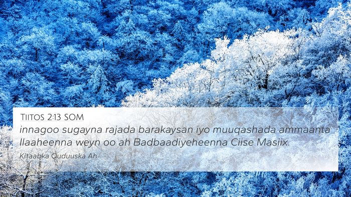 Tiitos 2:13 SOM Bible Verse Image