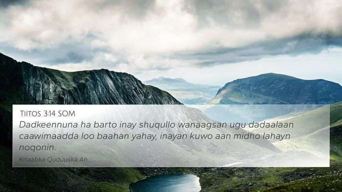Tiitos 3:14 SOM Bible Verse Image