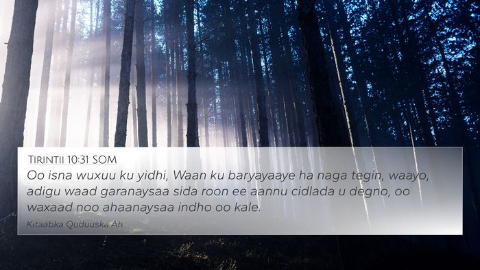 Tirintii 10:31 SOM 4K Wallpaper - Oo isna wuxuu ku yidhi, Waan ku baryayaaye ha - 4K Wallpaper Bible Verse