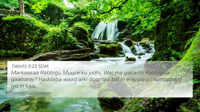Tirintii 11:23 SOM 4K Wallpaper - Markaasaa Rabbigu Muuse ku yidhi, War ma gacantii - 4K Wallpaper Bible Verse