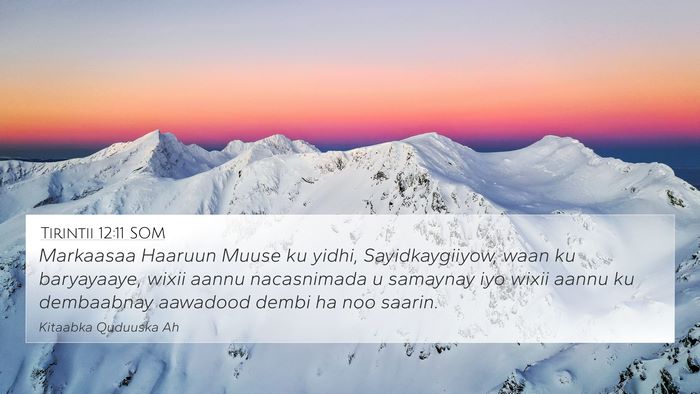 Tirintii 12:11 SOM 4K Wallpaper - Markaasaa Haaruun Muuse ku yidhi, Sayidkaygiiyow, - 4K Wallpaper Bible Verse