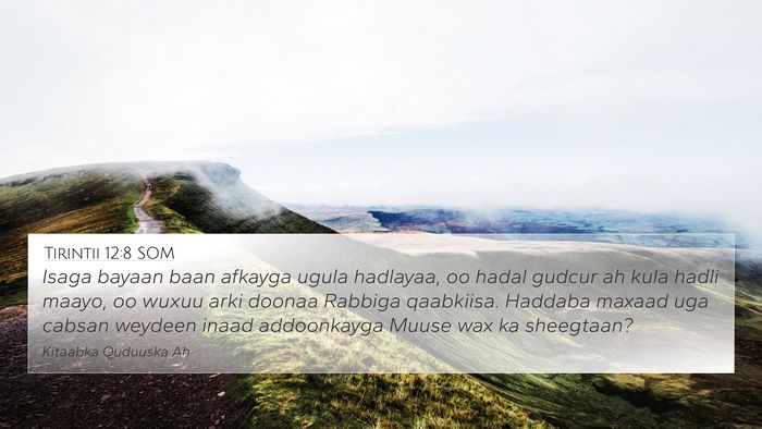 Tirintii 12:8 SOM 4K Wallpaper - Isaga bayaan baan afkayga ugula hadlayaa, oo - 4K Wallpaper Bible Verse