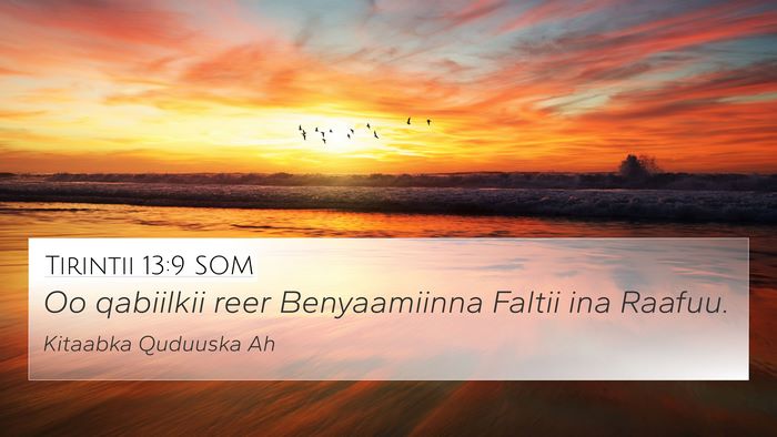 Tirintii 13:9 SOM 4K Wallpaper - Oo qabiilkii reer Benyaamiinna Faltii ina - 4K Wallpaper Bible Verse