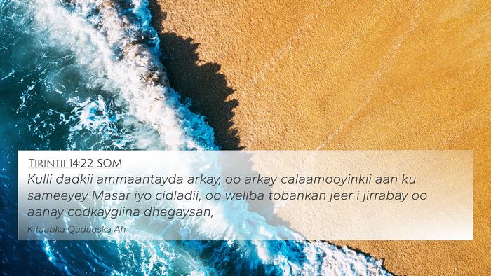 Tirintii 14:22 SOM Bible Verse Image