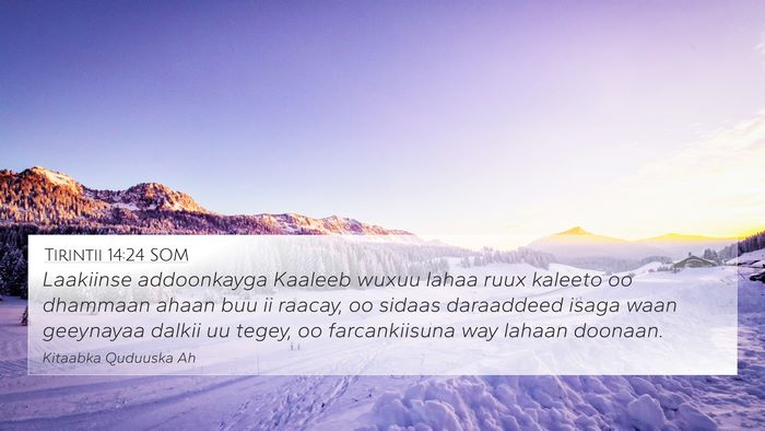 Tirintii 14:24 SOM 4K Wallpaper - Laakiinse addoonkayga Kaaleeb wuxuu lahaa ruux - 4K Wallpaper Bible Verse