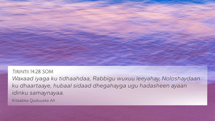 Tirintii 14:28 SOM 4K Wallpaper - Waxaad iyaga ku tidhaahdaa, Rabbigu wuxuu - 4K Wallpaper Bible Verse