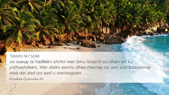 Tirintii 14:7 SOM Bible Verse Image