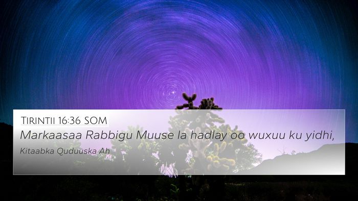 Tirintii 16:36 SOM 4K Wallpaper - Markaasaa Rabbigu Muuse la hadlay oo wuxuu ku - 4K Wallpaper Bible Verse