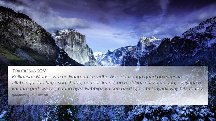 Tirintii 16:46 SOM Bible Verse Image