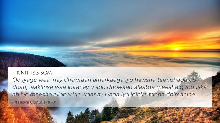 Tirintii 18:3 SOM Bible Verse Image