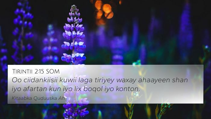 Tirintii 2:15 SOM 4K Wallpaper - Oo ciidankiisii kuwii laga tiriyey waxay ahaayeen - 4K Wallpaper Bible Verse