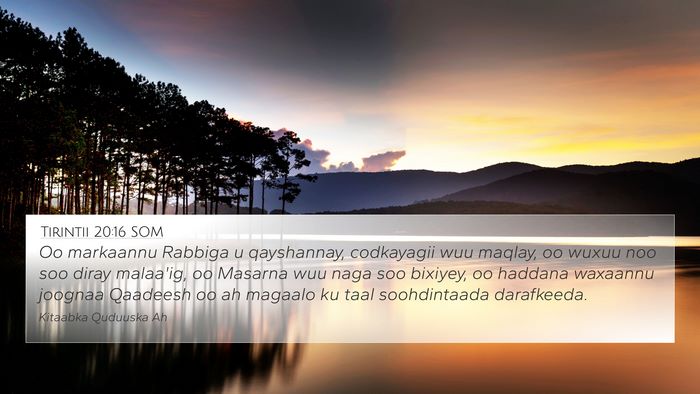 Tirintii 20:16 SOM Bible Verse Image