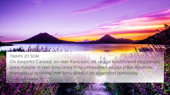 Tirintii 21:1 SOM Bible Verse Image