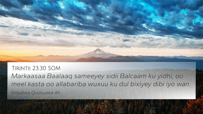 Tirintii 23:30 SOM Bible Verse Image