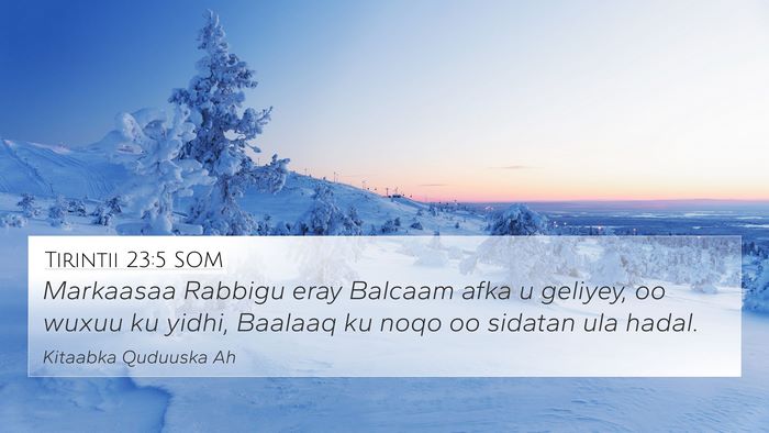Tirintii 23:5 SOM Bible Verse Image