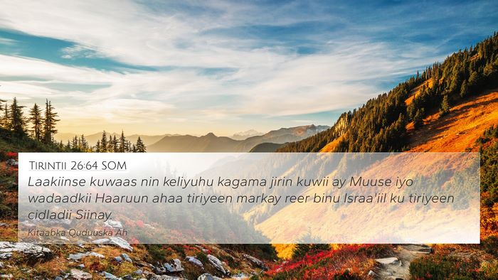 Tirintii 26:64 SOM Bible Verse Image
