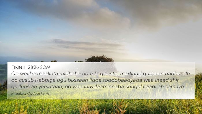 Tirintii 28:26 SOM 4K Wallpaper - Oo weliba maalinta midhaha hore la goosto, - 4K Wallpaper Bible Verse