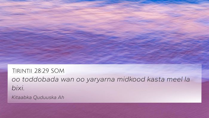 Tirintii 28:29 SOM 4K Wallpaper - oo toddobada wan oo yaryarna midkood kasta meel - 4K Wallpaper Bible Verse