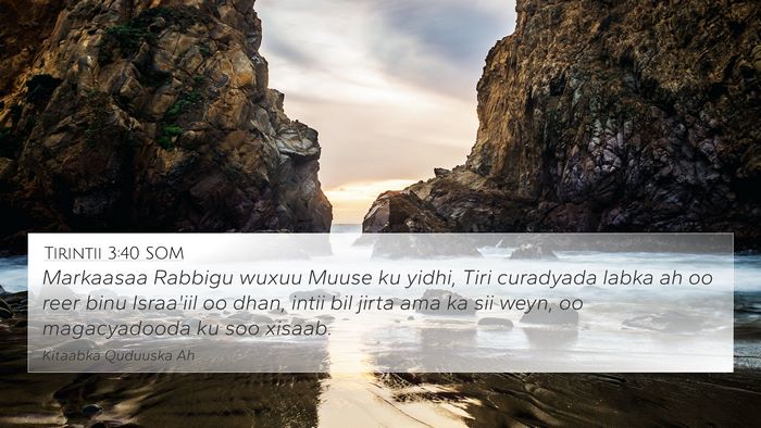 Tirintii 3:40 SOM Bible Verse Image