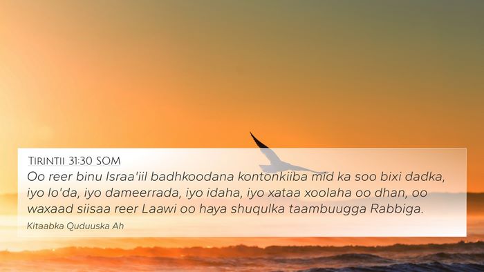 Tirintii 31:30 SOM Bible Verse Image