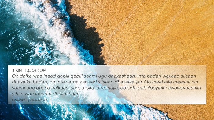 Tirintii 33:54 SOM Bible Verse Image