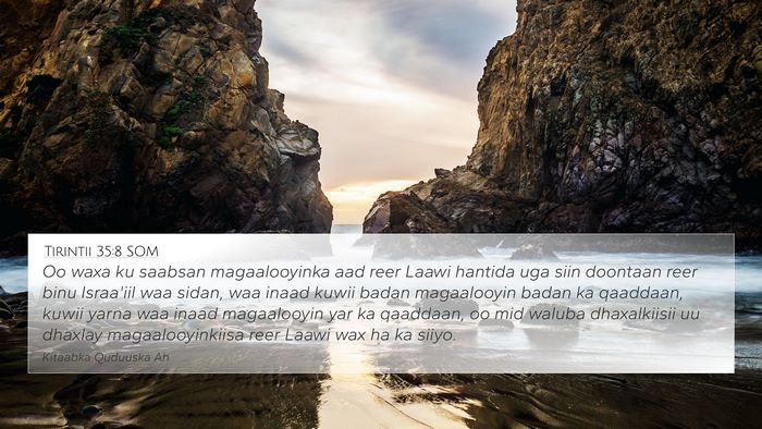 Tirintii 35:8 SOM 4K Wallpaper - Oo waxa ku saabsan magaalooyinka aad reer Laawi - 4K Wallpaper Bible Verse