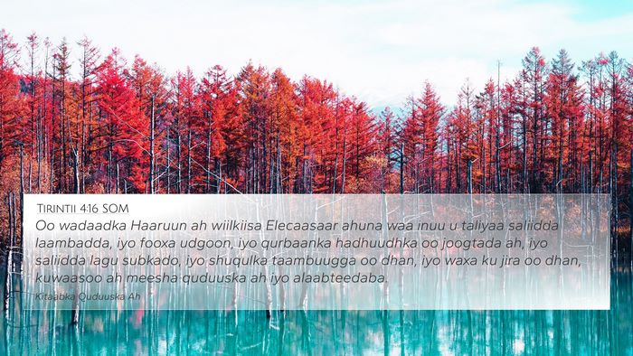 Tirintii 4:16 SOM 4K Wallpaper - Oo wadaadka Haaruun ah wiilkiisa Elecaasaar ahuna - 4K Wallpaper Bible Verse